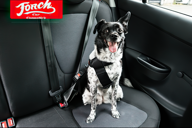 Torch Cars Textil Cleaner, Interior Spray, Waterless Wash Üçlü Set – Profesyonel Araç Bakımının Gücü - Görsel 2